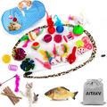 31 PCS Cat Toys Kitten Toys Assortments